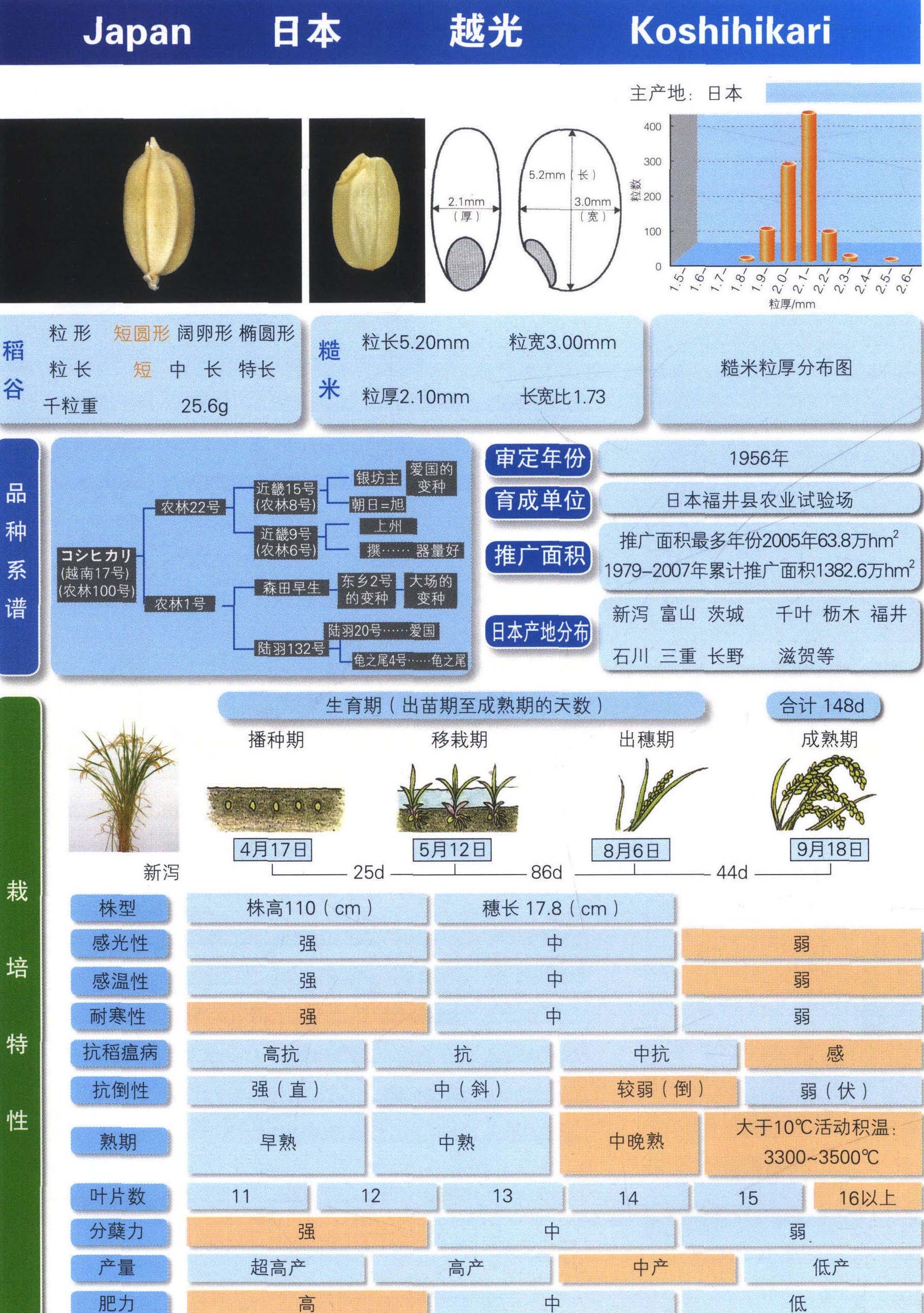 七、日本3个粳稻品种图鉴